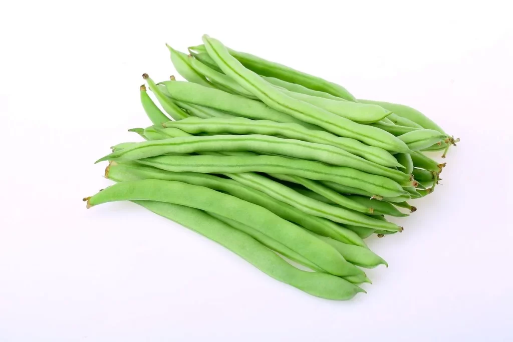 Green Bean Long Fresh Crisp