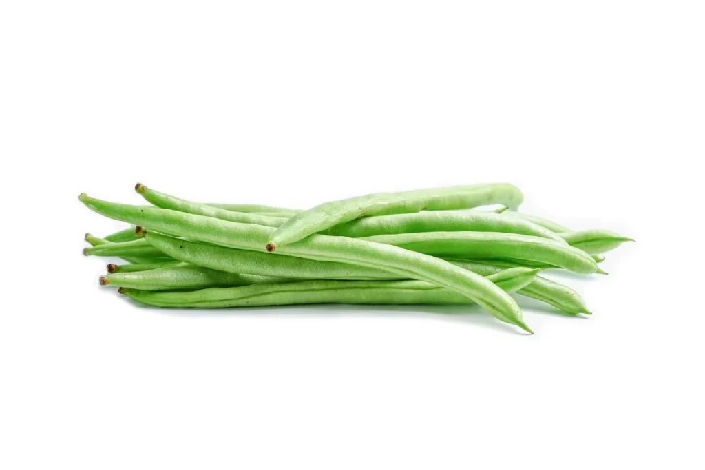 Green Bean Long Fresh Crisp