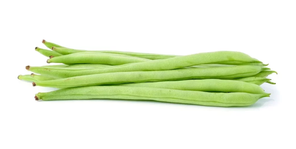 Green Bean Long Fresh Crunchy