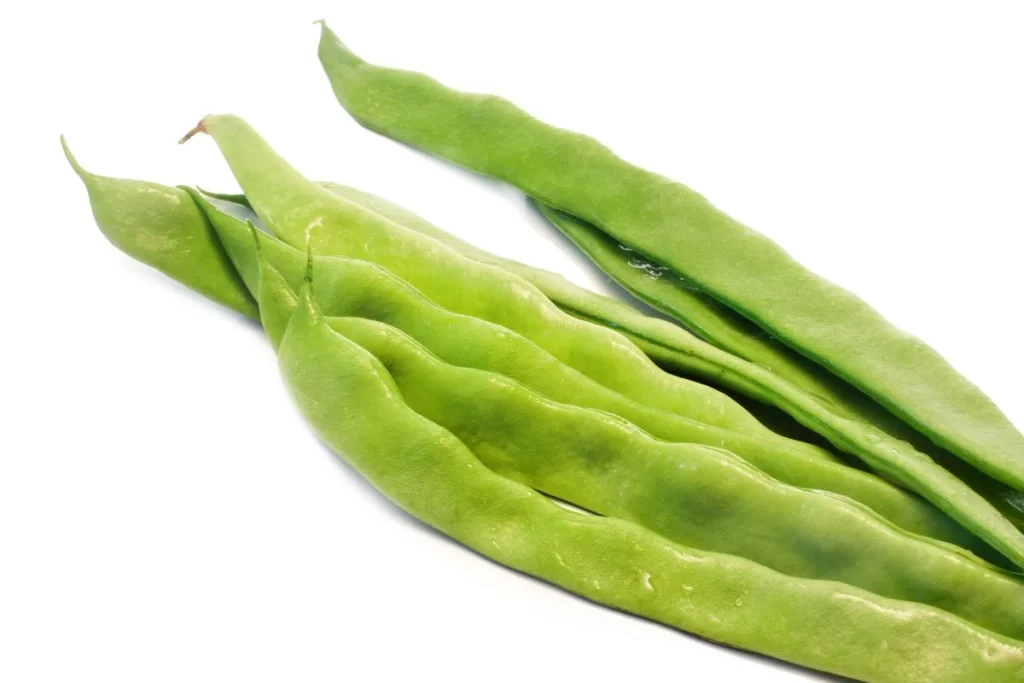 Green Bean Long Smooth Fresh