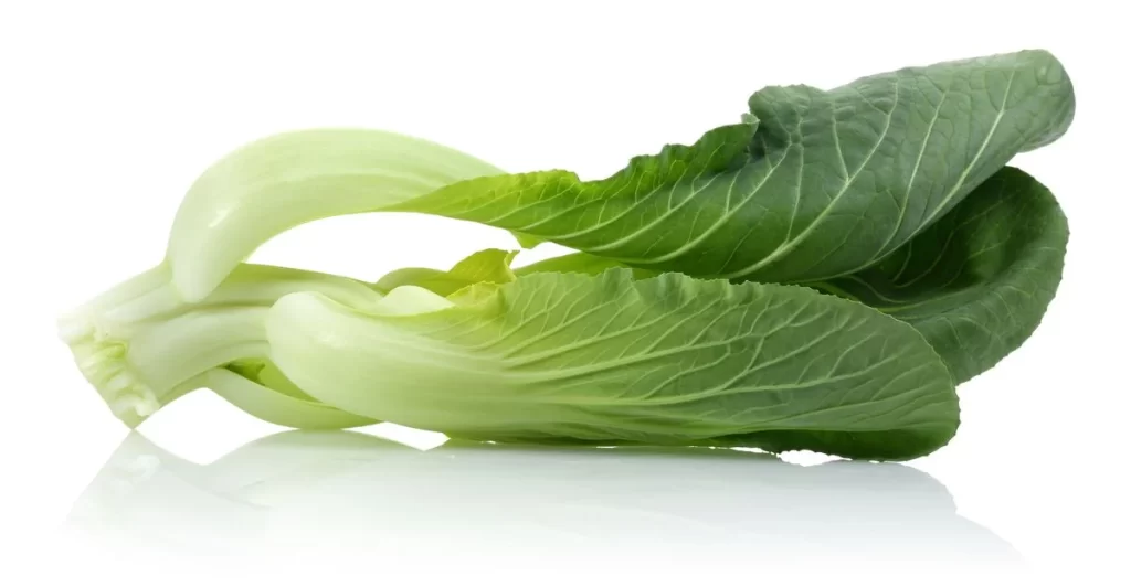 Green Bok Choy Vegetable Crisp Fresh