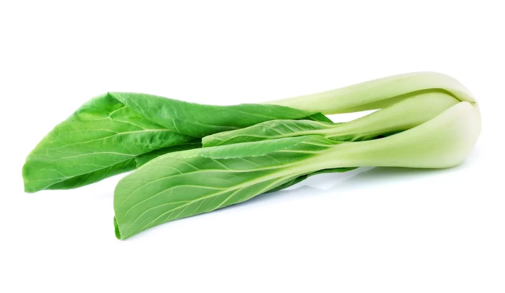 Green Bok Choy Vegetable Crisp Fresh
