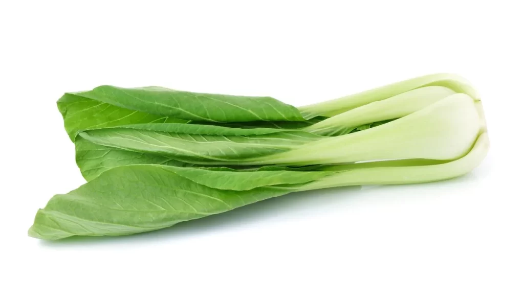 Green Bok Choy Vegetable Crisp Fresh