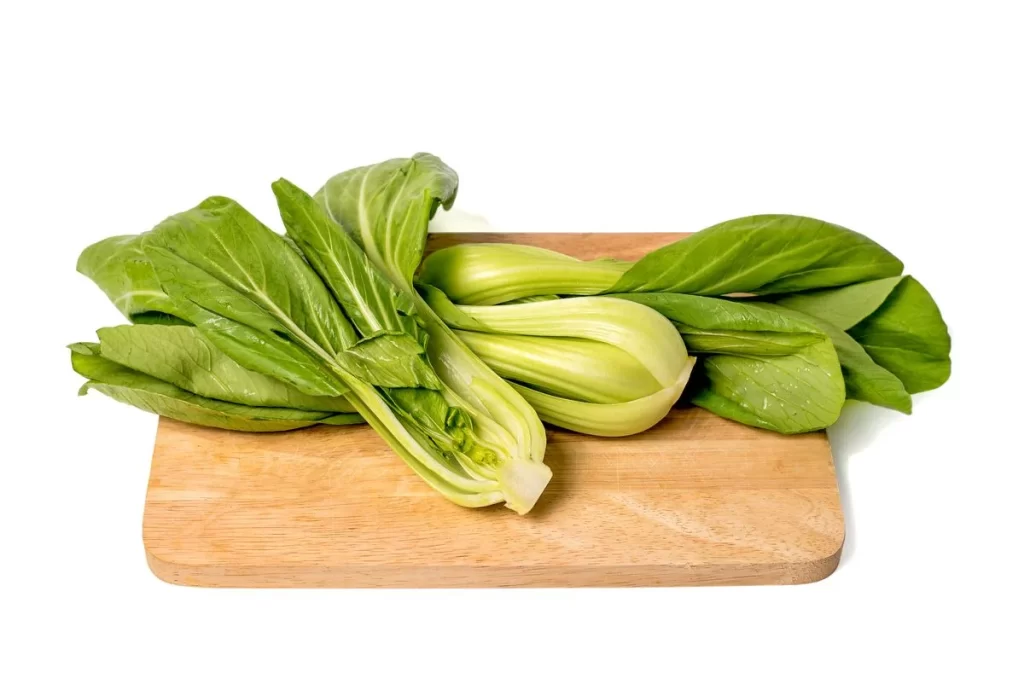 Green Bok Choy Vegetable Crisp Fresh