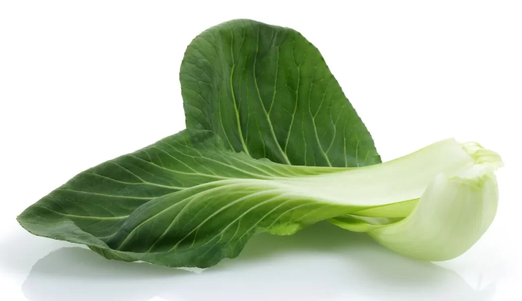 Green Bok Choy Vegetable Crisp Fresh