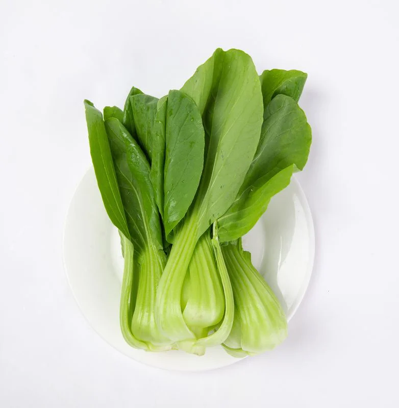 Green Bok Choy Vegetable Crisp Fresh