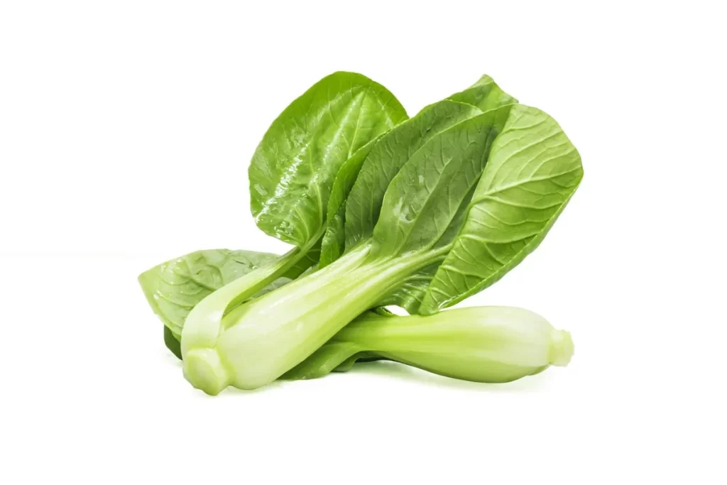 Green Bok Choy Vegetable Crisp Fresh