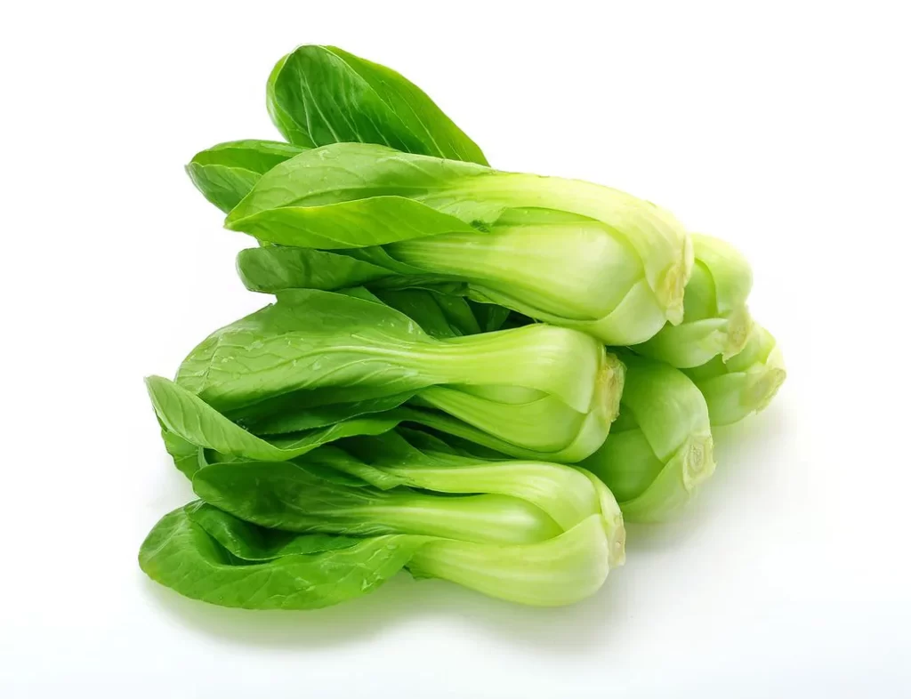 Green Bok Choy Vegetable Crisp Fresh