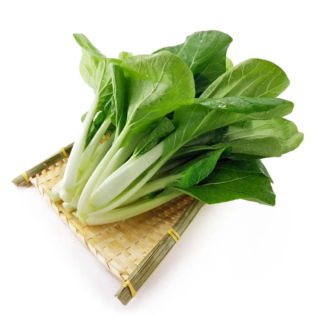Green Bok Choy Vegetable Crisp Fresh