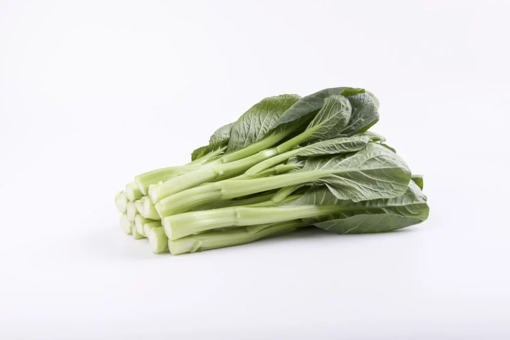 Green Bok Choy Vegetable Crisp Fresh