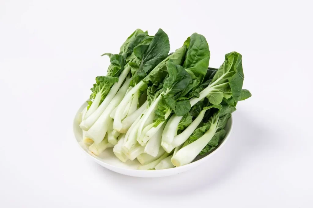 Green Bok Choy Vegetable Crisp Fresh