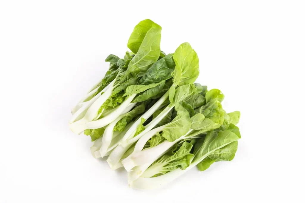 Green Bok Choy Vegetable Crisp Fresh