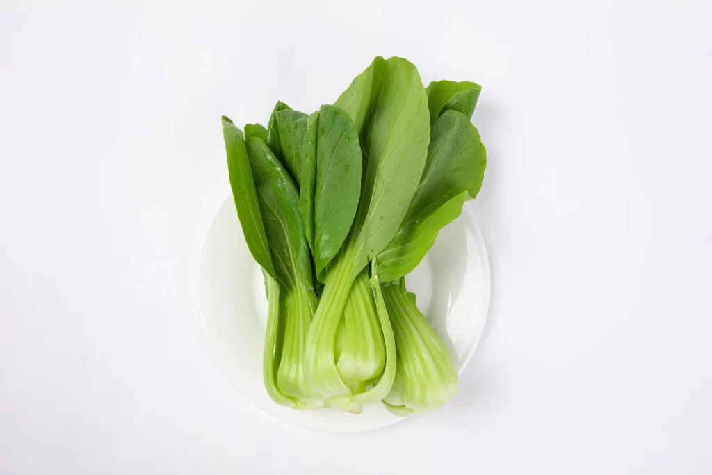 Green Bok Choy Vegetable Crisp Fresh