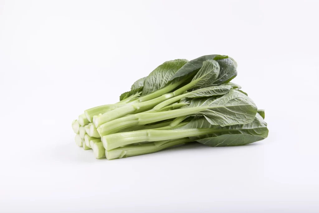 Green Bok Choy Vegetable Crisp Fresh