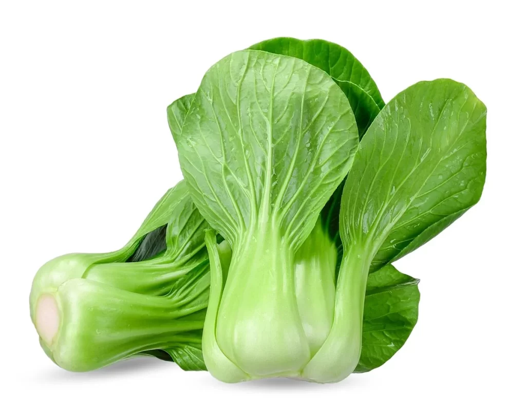 Green Bok Choy Vegetable Crisp Fresh