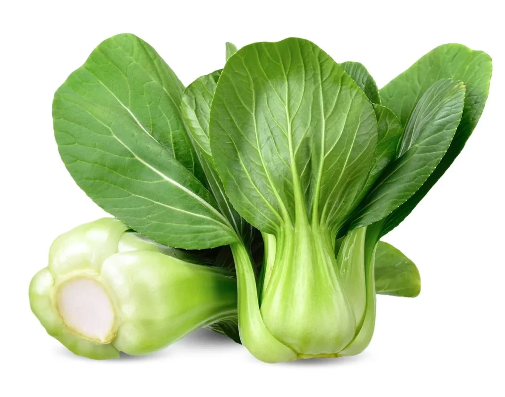 Green Bok Choy Vegetable Crisp Fresh