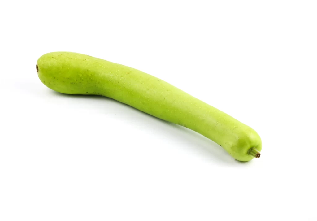 Green Bottle Gourd Long Smooth Cylindrical