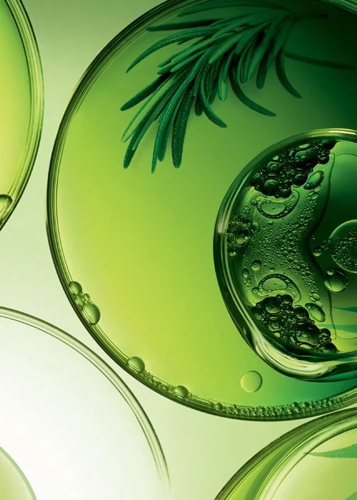 Green Bubbles Abstract Nature Organic