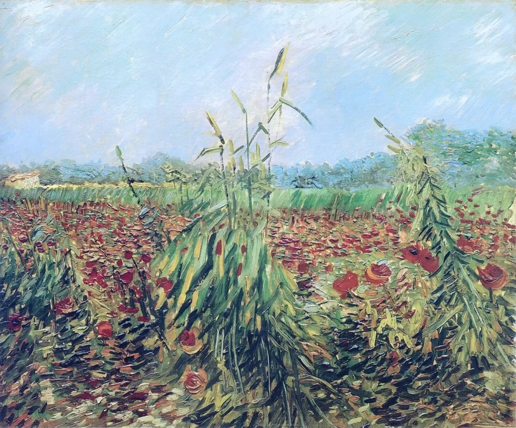 Green Ears of Wheat Van Gogh