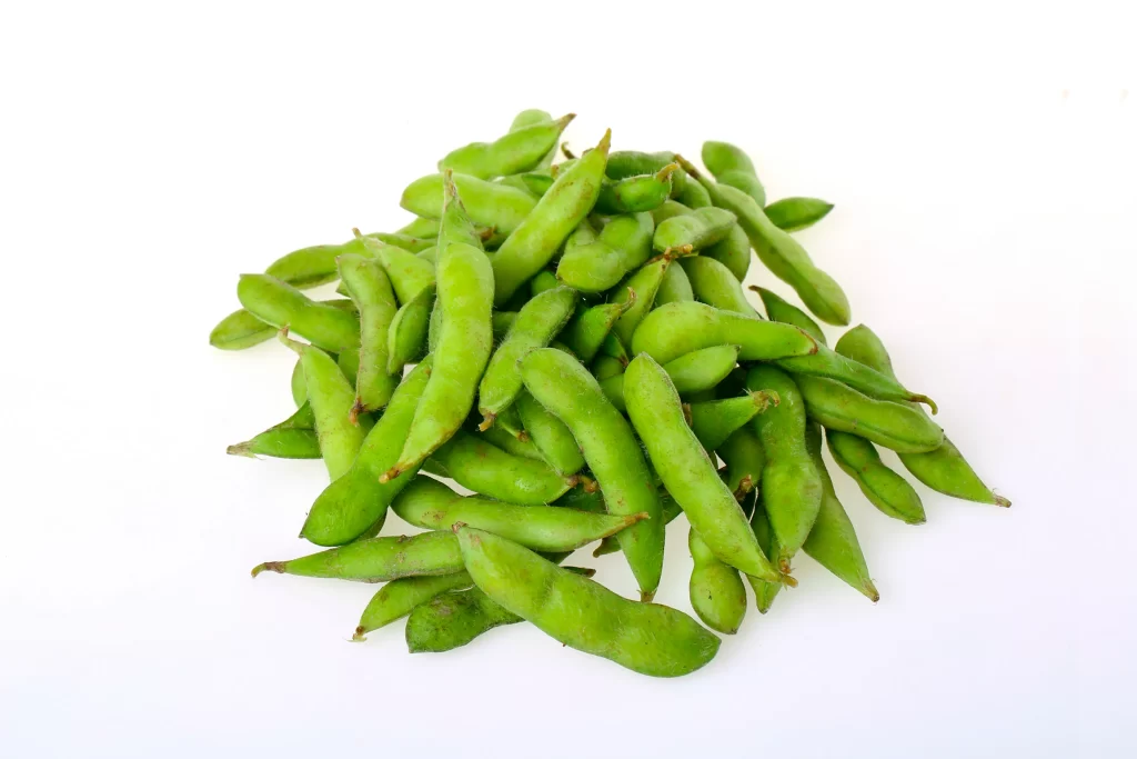 Green Edamame Bean Fresh Crisp