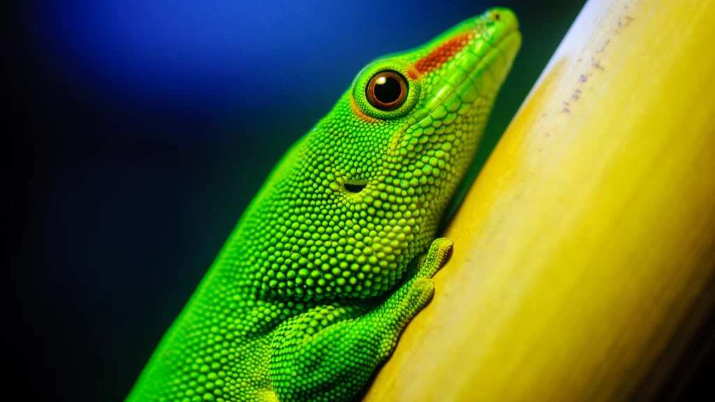 Green Gecko Close-Up Texture Vivid Colors