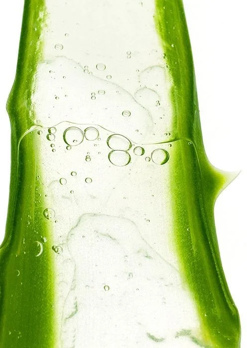 Green Leaf Water Bubbles Clear