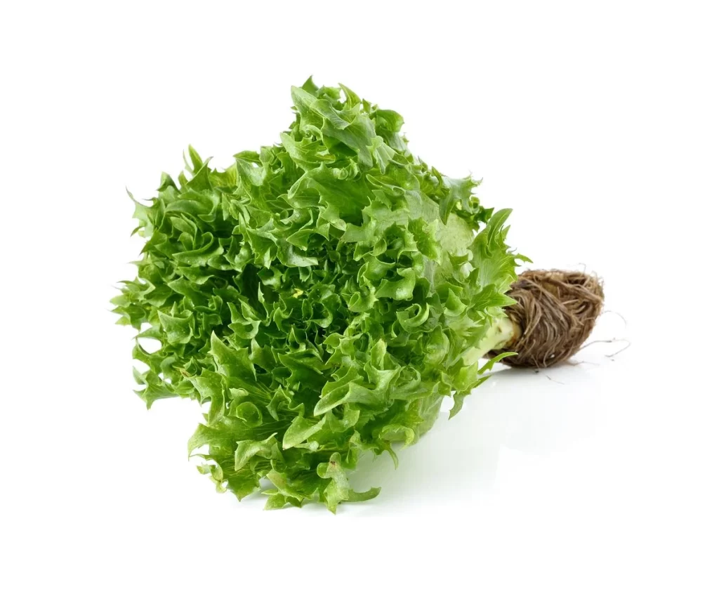 Green Leafy Lettuce Edible Crisp Fresh