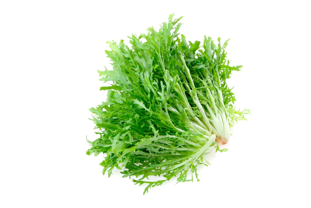 Green Leafy Vegetable Crisp Fresh