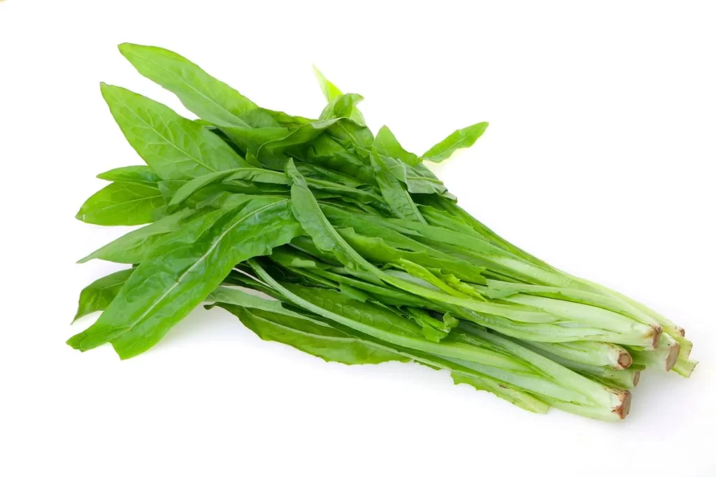 Green Leafy Vegetable Fresh Crisp