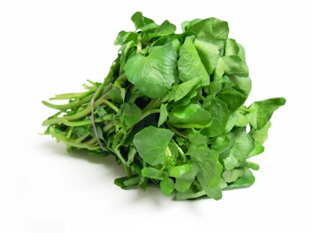 Green Leafy Vegetable Fresh Crisp