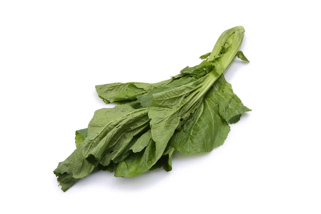 Green Leafy Vegetable Fresh Crisp