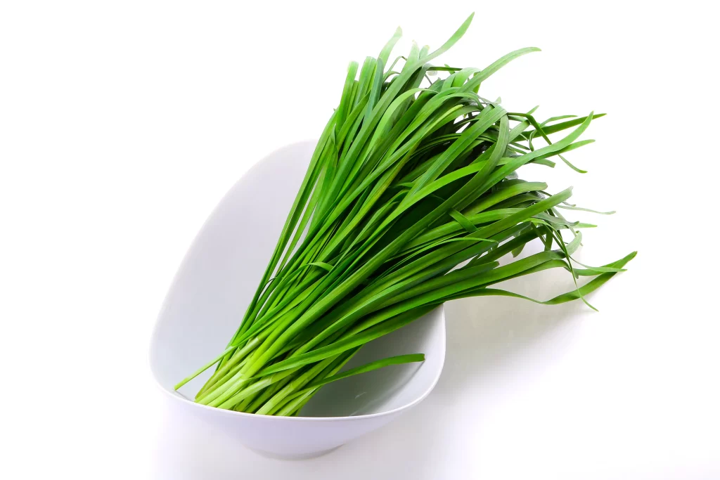 Green Onion Fresh Long Leafy