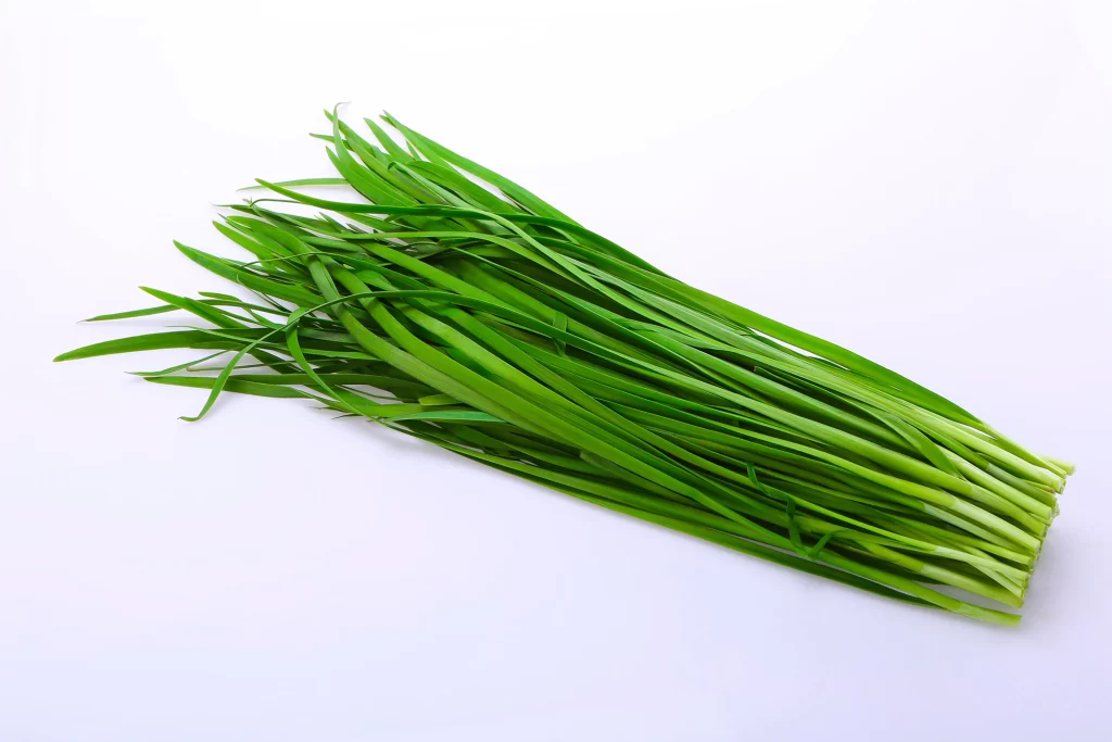 Green Onion Fresh Long Thin