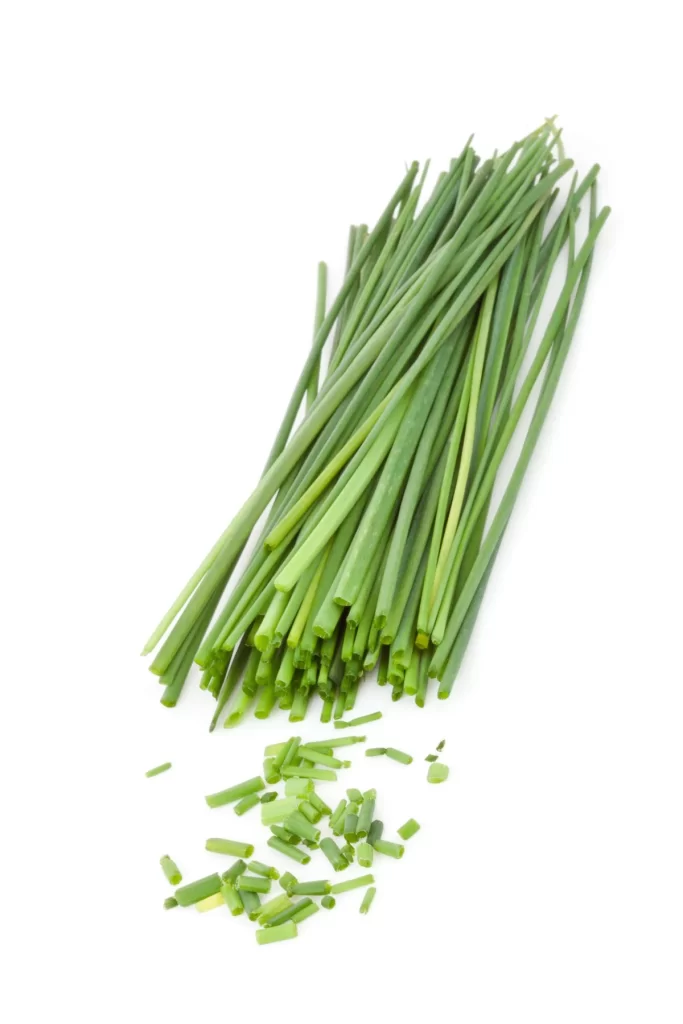 Green Onion Fresh Long Thin