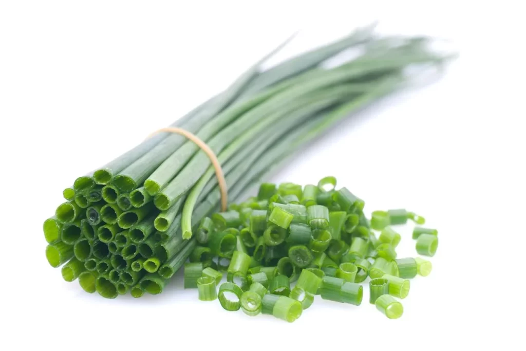 Green Onion Fresh Long Thin
