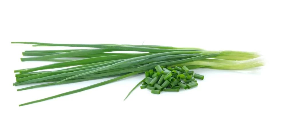Green Onion Long Thin Fresh