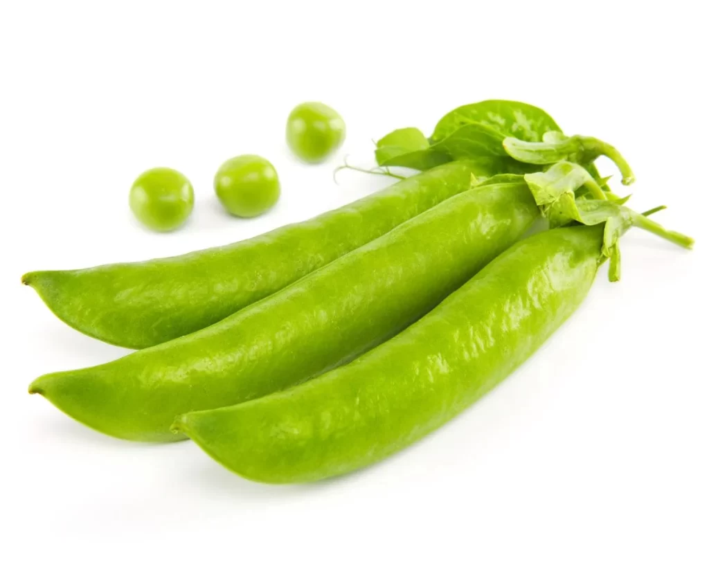 Green Pea Pod Fresh Round Plump