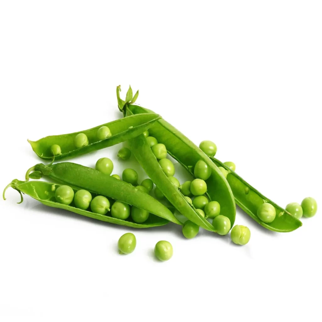 Green Pea Pod Round Fresh Crisp