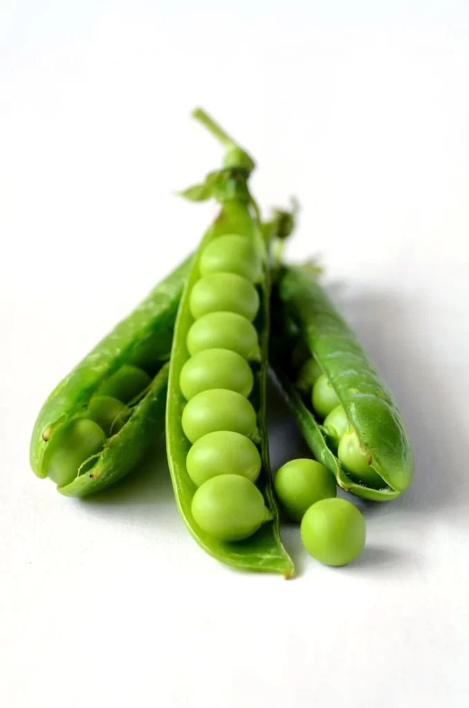 Green Pea Pod Round Fresh Crisp