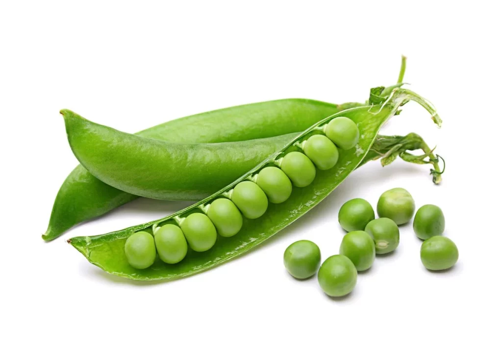 Green Pea Pod Round Fresh