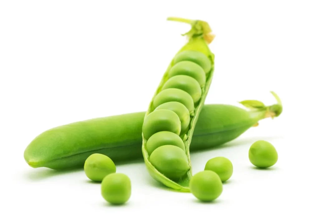 Green Pea Pod Round Fresh