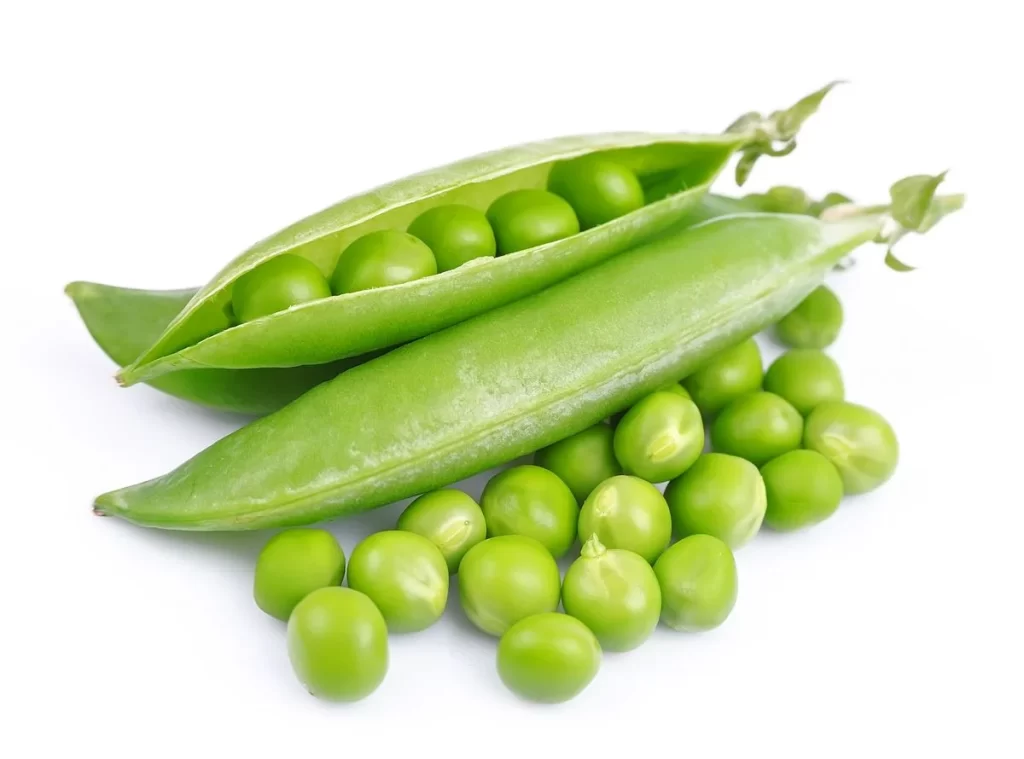 Green Pea Pod Round Fresh