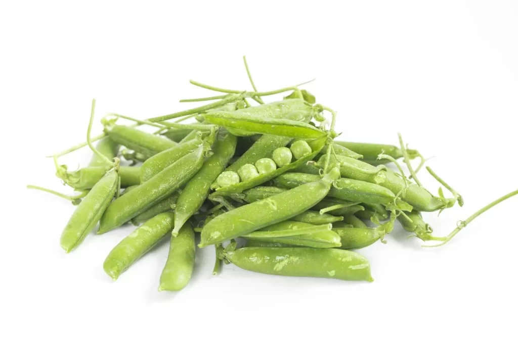 Green Pea Pods Fresh Crisp