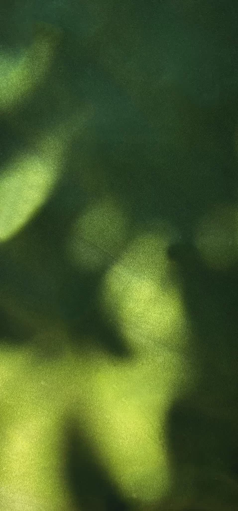 Green Shadows Texture Abstract Pattern