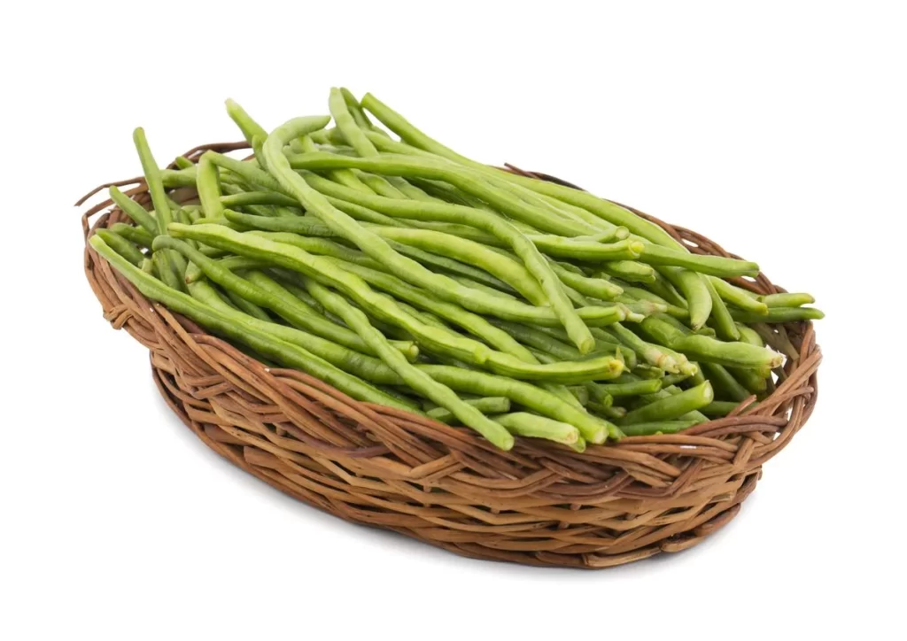 Green String Beans Long Fresh Crisp