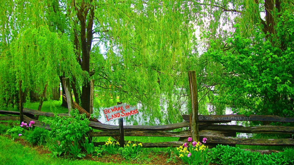 green trees fence flowers sign water