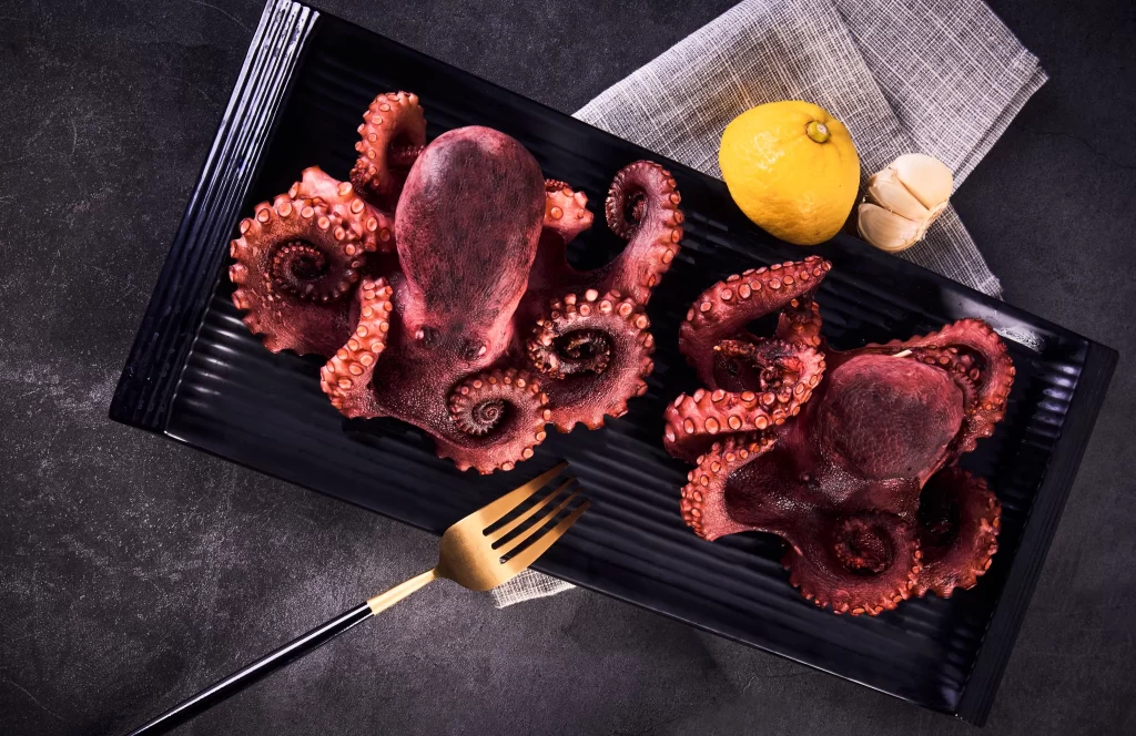 Grilled Octopus Charred Reddish-brown Dark Plate