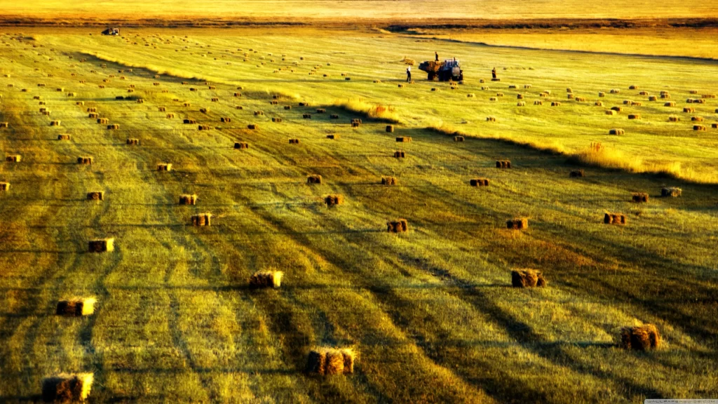 harvest field hay tractor sunset agriculture