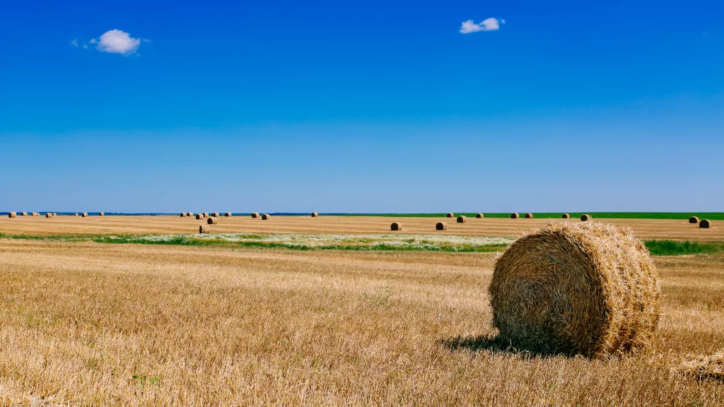 haystacks field blue sky clouds