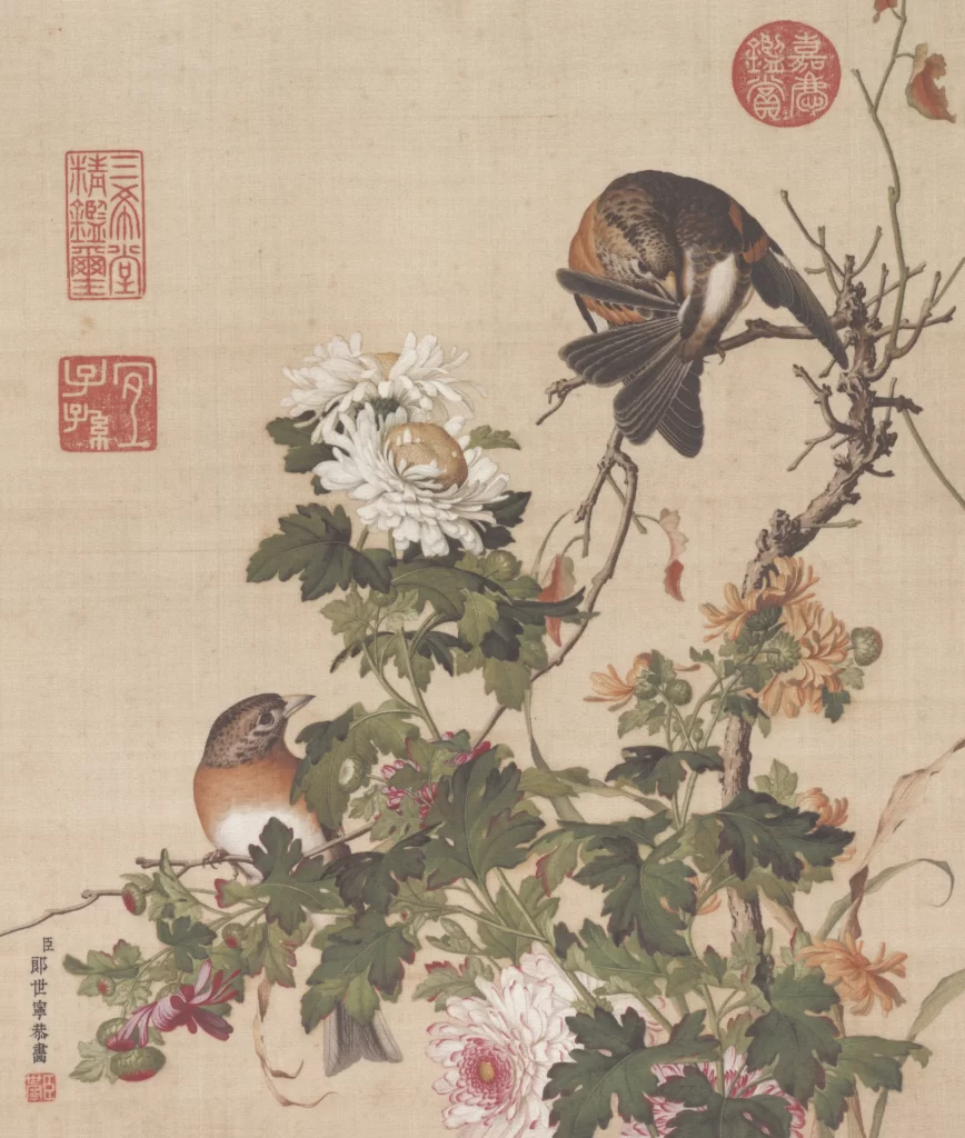 Herbaceous Peony Swallow Castiglione